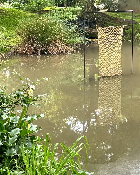 The Golden Fog Collector — First Edition (2025)